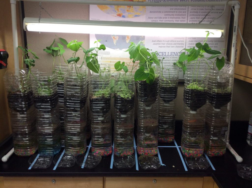 Ecocolumns with a Small Budget and with a Big Budget - Teaching AP® Science