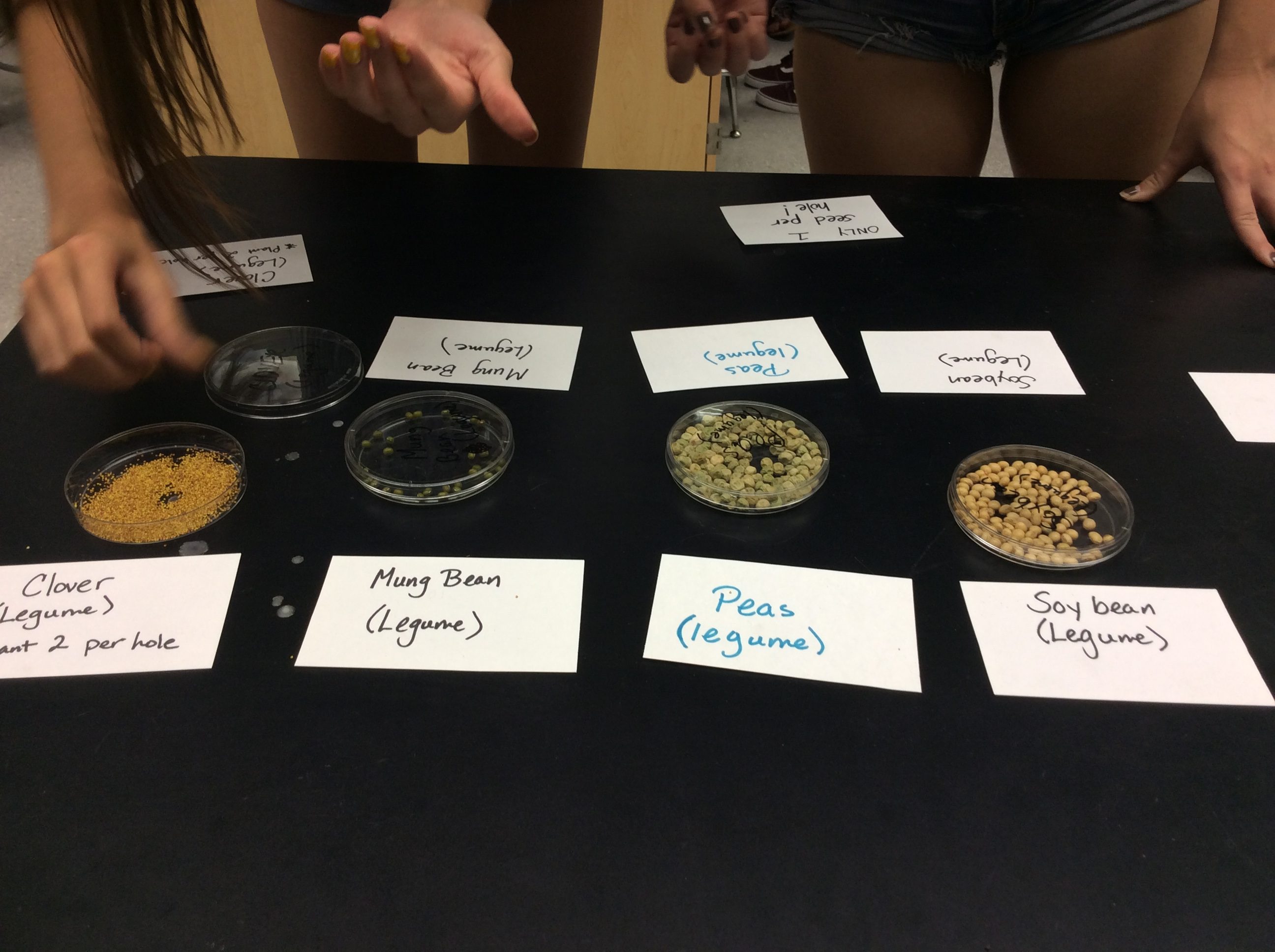 IMG_1154 - Teaching AP® Science