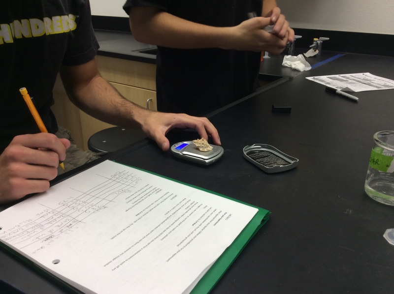 Ocean Acidification 10 - Teaching AP® Science
