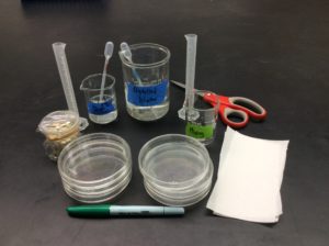 Soil Salinization Lab - Teaching AP® Science