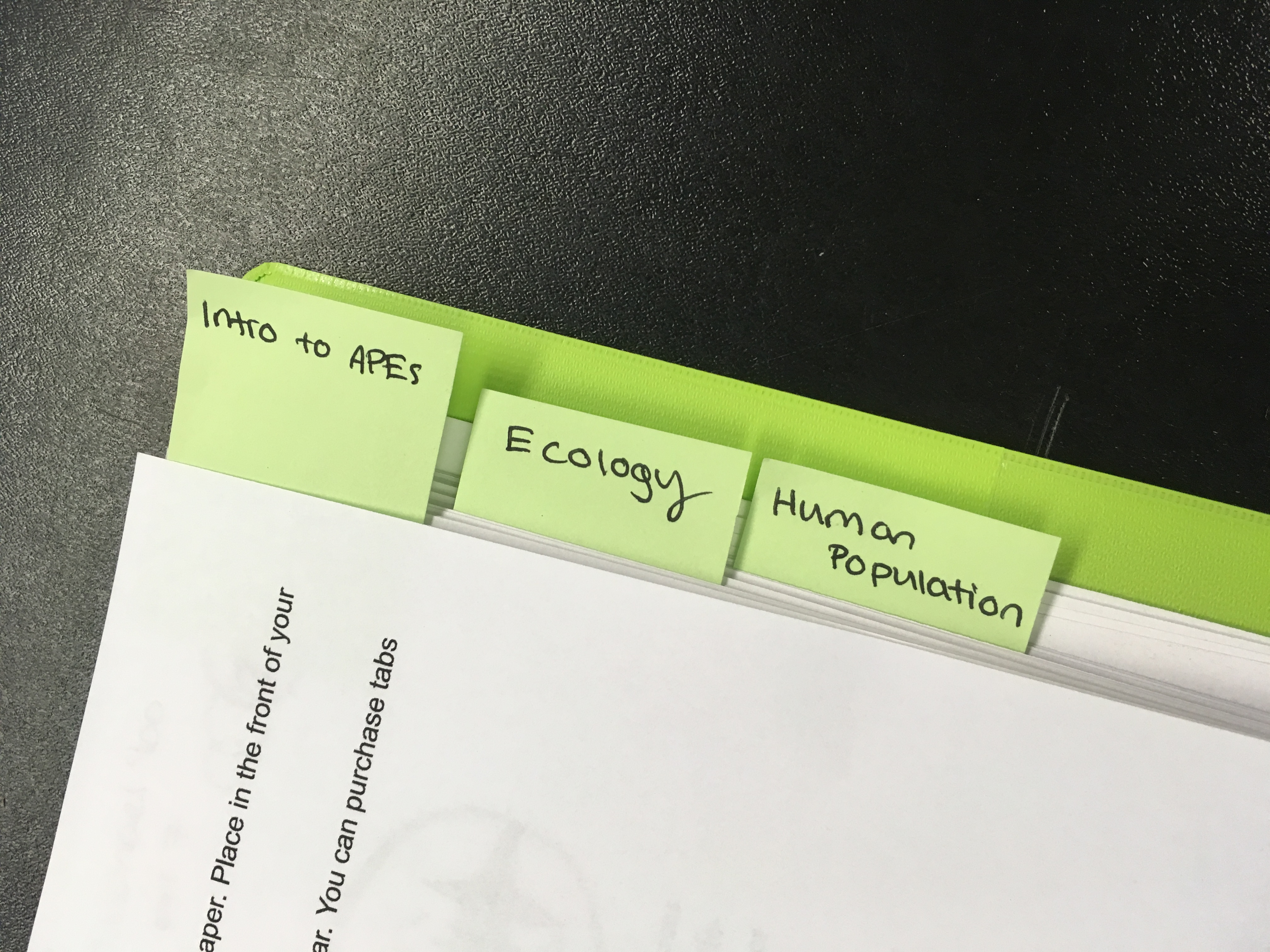 Binders to Collect Work