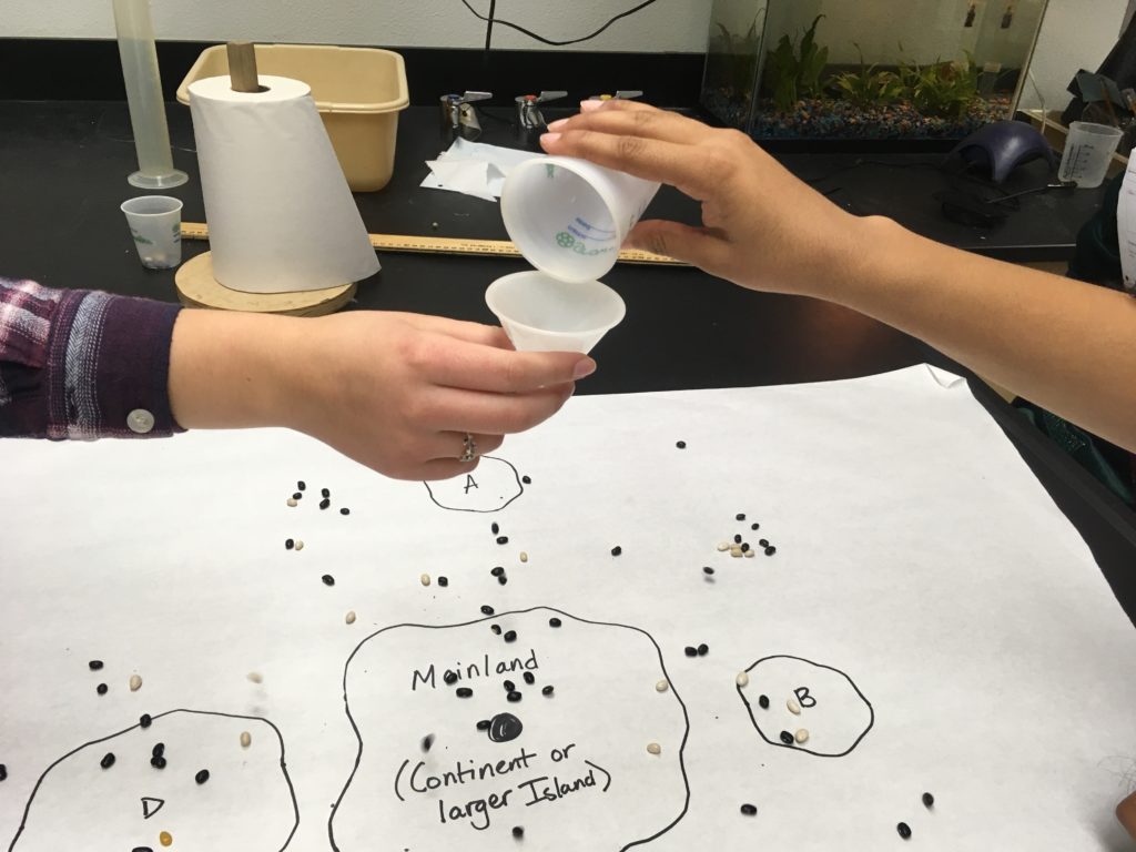 Island BioGeography Theory 5E Lab - Teaching AP® Science